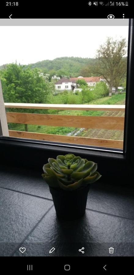 Eco Familia Hotel Pojoga Eksteriør billede